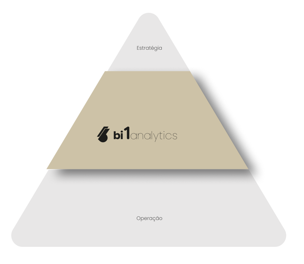 bi1analytics